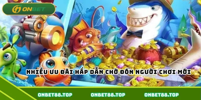 Nhiều ưu đãi hấp dẫn chờ đón người chơi mới Nhiều ưu đãi hấp dẫn chờ đón người chơi mới
