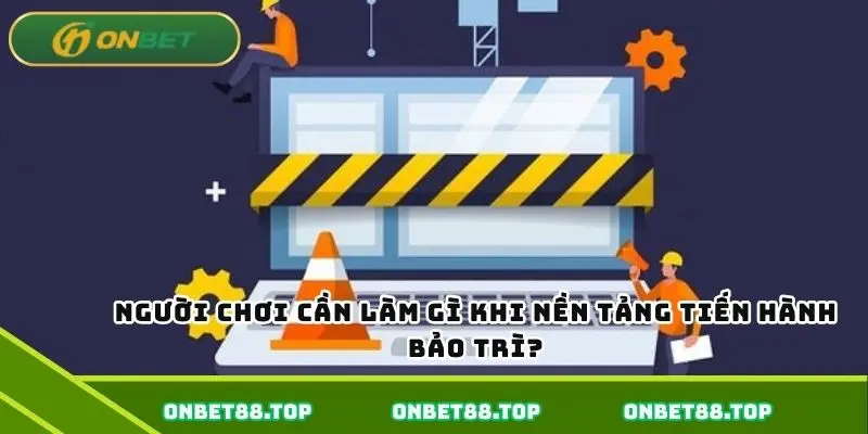 Người chơi cần làm gì khi nền tảng tiến hành bảo trì?